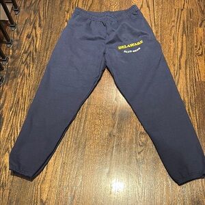Delaware sweatpants